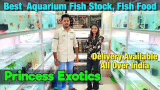 BEST Fish Stock at Princess Exotics Delivery Available All Over India