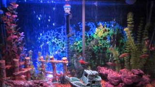 KANSAS FISHCAM - On The Other Side / Reason To Be