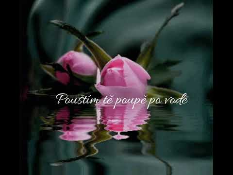 "Poupěti" /To a bud - song for a choir by Mary Dwyn