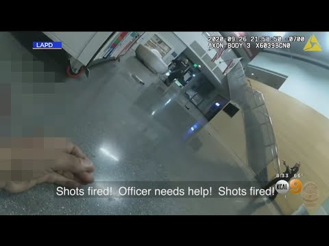 Bodycam Video Shows Suspect's Violent, Unprovoked Attack Inside LAPD Police Station In San Pedro