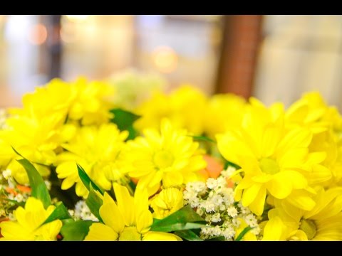 01 Fotograf nunta * ( Slide Show ) * Cameraman HD - 0751132073 ** DjFotoFilm