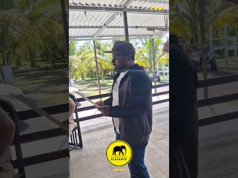 🐘💛👈💪🟡 La gestión transparente y el orden son pilares fundamentales para el progreso.