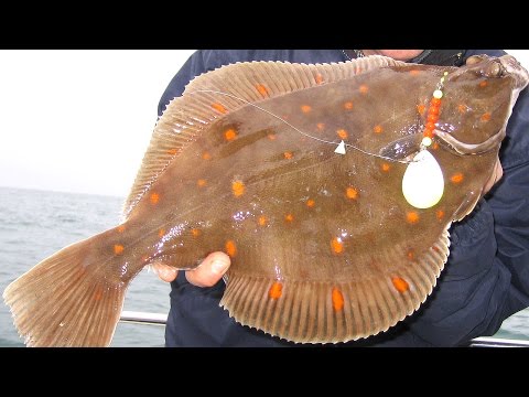 Sea Fishing Rigs - Teaspoon Flasher Rig