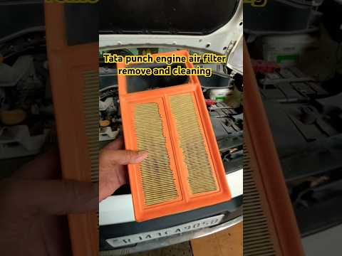 Thumbnail for Tata punch engine air filter cleaning review original air filter by Tata Punch
