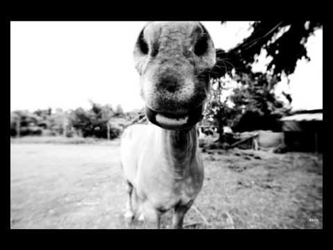 X-O Toxins - Wierd Society