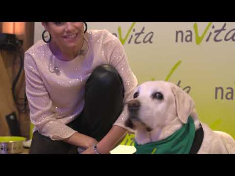 naVita Christmas MEGA Event 2023 - Offizielles Aftermovie