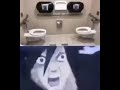 Shitting Contest