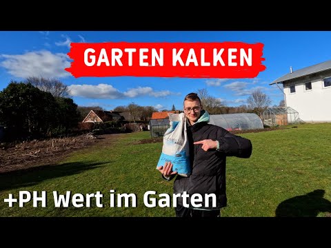 Liming the vegetable garden for optimal pH value in the garden soil 🧑🏻‍🌾🌱