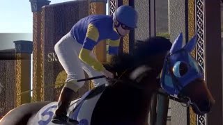 スターホース4 / starhorse4【SKY TURF / スカイターフ】（2024/12/11）