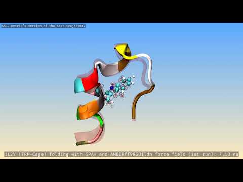 Trp-Cage (1L2Y) folding with GPA* and AMBER ff (1.285 Å). Run 1. ANGL's view.