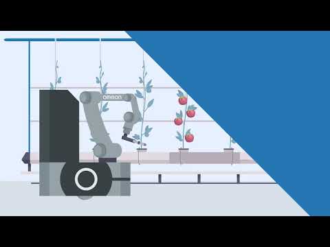 OMRON Cobot - TM20