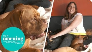 My 22 Dogs Come Before My Boyfriend | This Morning