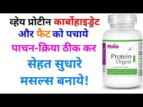 Fat digestive enzymes supplement