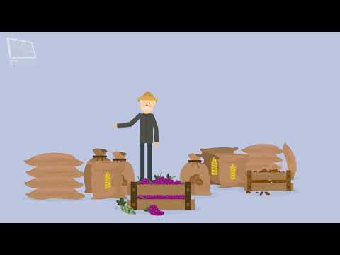 Ahkam in Brief - Zakat