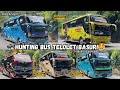HUNTING BUS ARTIS TELOLET BASURI NADA BASURI BUKIT BERBUNGA ENAK BANGET FULL BUS ARTIS