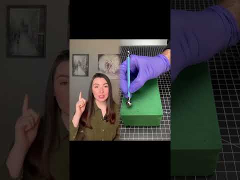 #english #englishteacher #informalenglish