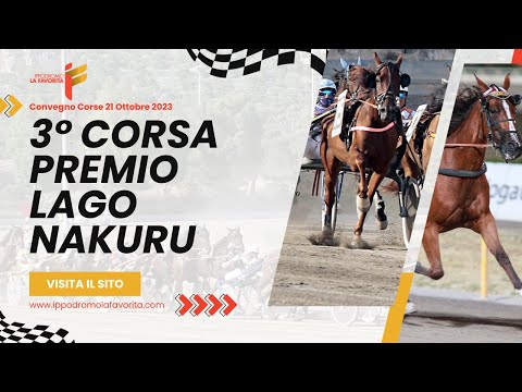 III Corsa del 21 Ottobre 2023 - 4 Anni - Metri 2000