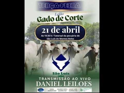 São Luís de Montes Belos - GO   21/04/2026