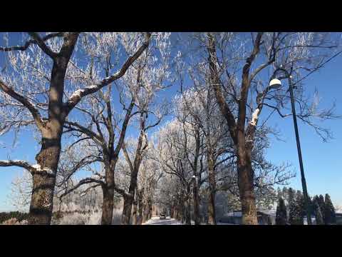 Winter in Norway 2021 (Norwegian University of Life sciences (nmbu))