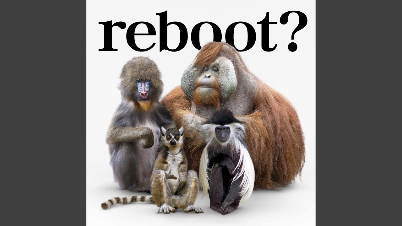 流れ星 / flumpool