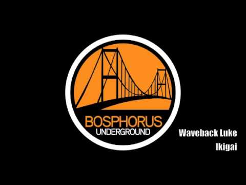 Waveback Luke - Ikigai