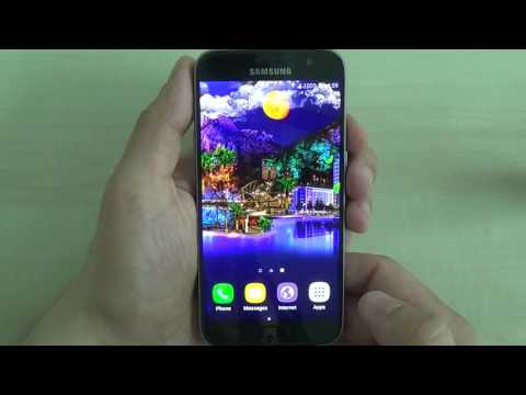 Night City Live Wallpaper Video