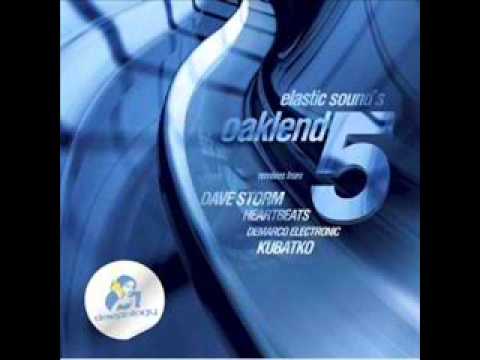 Elastic Sound - Oaklend Five (Original Mix)