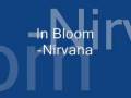 In Bloom Nirvana Lyrics