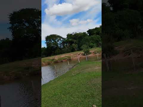 Mogi Guaçu estado de são Paulo