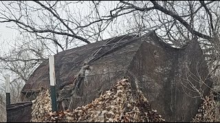 Carrasco Ranch is live taking down Bow Blind!