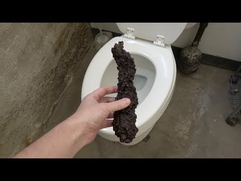 Whats inside Dinosaur Poop? Video