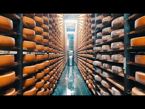 download lagu mp3 mp4 Koty Serowarskie, download lagu Koty Serowarskie gratis, unduh video klip Koty Serowarskie