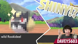 Pokemon: Sword | Reaction - Shiny Rookidee!