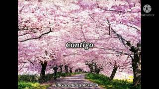 The Vapors - Spring Collection Sub español