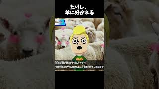 羊に好かれすぎて困惑するたけしｗｗｗ　　#トモコレ #トモダチコレクションわくわく生活 #ゲーム実況 #Shorts