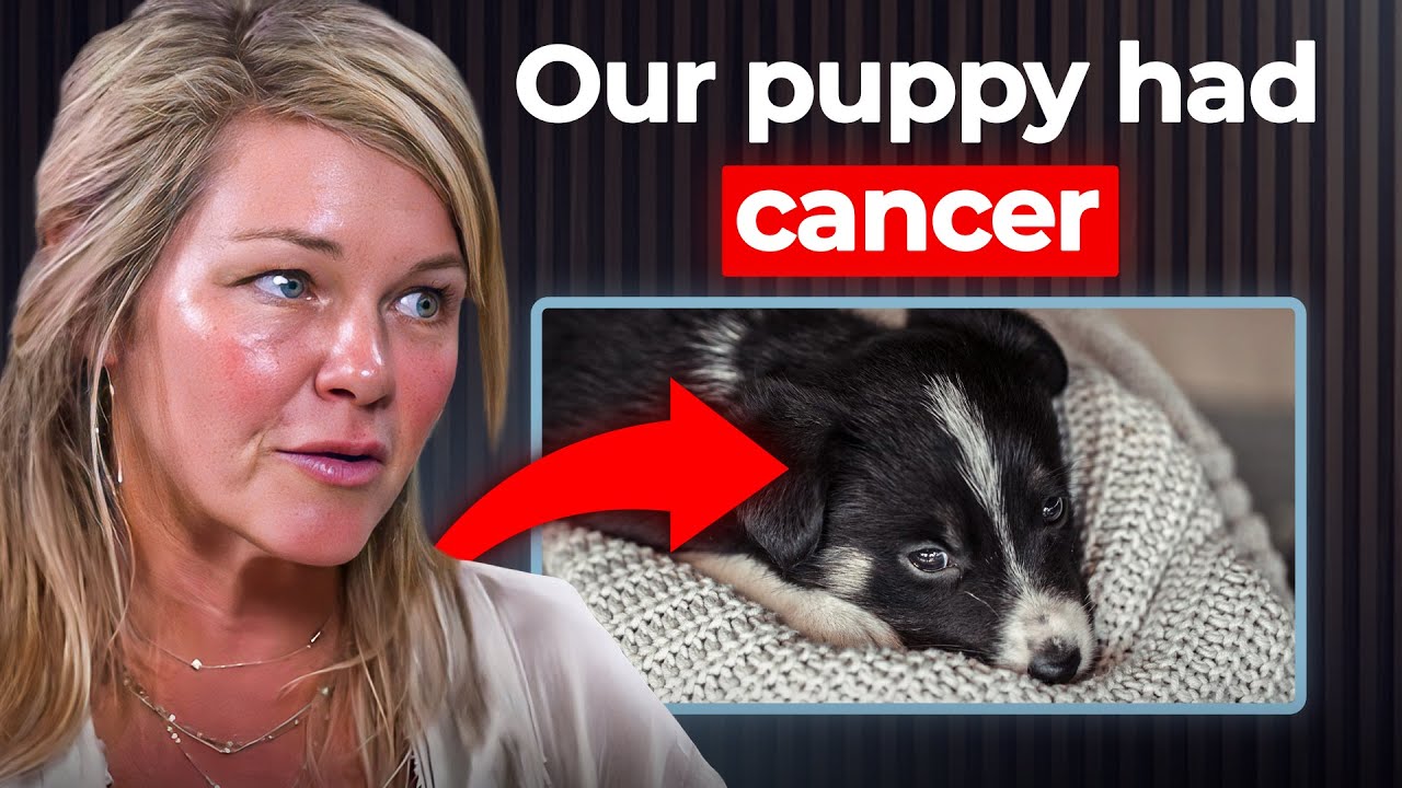 Pet Cancer Crisis: Why Dogs Are Getting Cancer Younger Than Ever