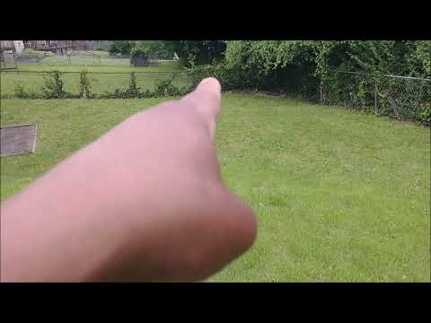 Lets Kill Some More Weeds! - (Ortho) Before and After - Part 3