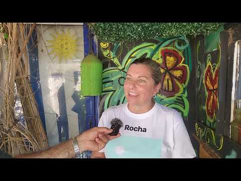 MINTUR trajo periodistas españoles al Cabo. DITUR (ROCHA), Dany Cocinero, Javier Periodistas español