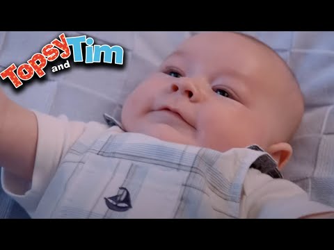 Topsy & Tim - Nowe dziecko! | Pełna kompilacja odcinków | Programy dla dzieci | HD