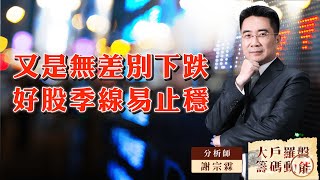 又是無差別下跌好股季線易止穩｜大戶羅盤籌碼動能 ｜謝宗霖 (圖)