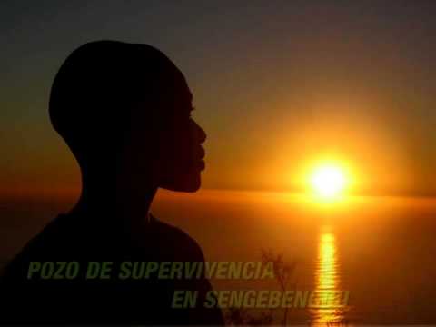 Resumen Proyectos en Mali 2014 (Fundación Polaris World)