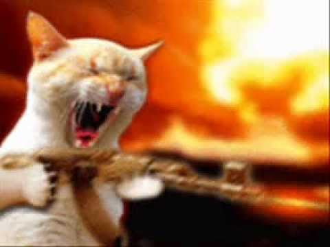 The Mean Kitty Song
