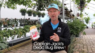 Captain Jacks Dead Bug Brew