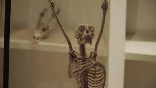 White on white / trailer / 24th Ji.hlava IDFF