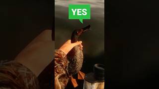 This NEW Hunting Game is NOT EASY!!! 😤🦆