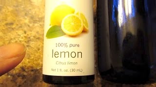 Training cats not to scratch things - the ultimate deterrent for $10