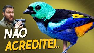 Miniatura do vídeo