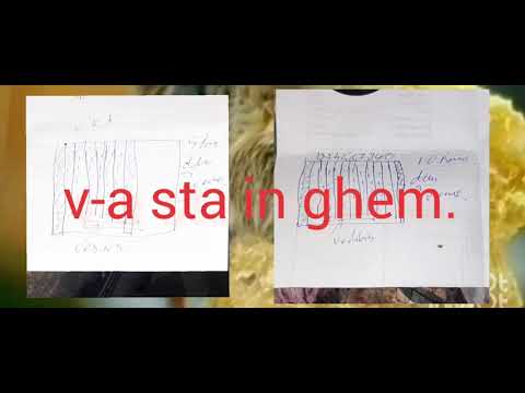 179. Albina - Iernarea nativa.