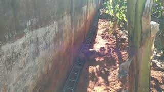 o gaspar olhando a obra