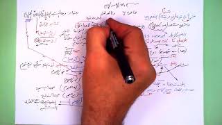 7 ★ وجه الشبه الإفراديّ الأساسيّ الجملة image